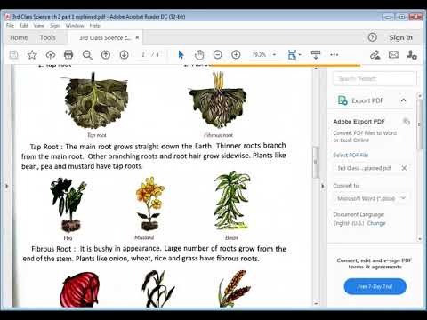 Embedded thumbnail for Science ch 2 Explained part 1