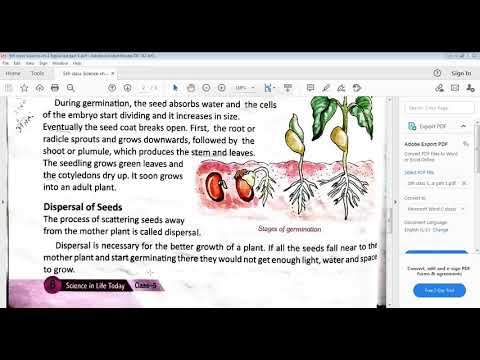 Embedded thumbnail for Science Ch 1 Explained part 1
