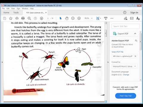 Embedded thumbnail for Science ch 3 Part 2 explained &amp;amp; Bookwork 